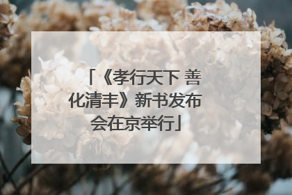 《孝行天下 善化清丰》新书发布会在京举行