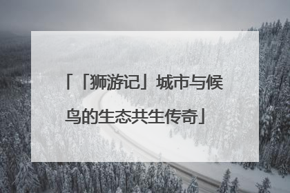 「狮游记」城市与候鸟的生态共生传奇