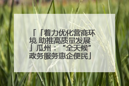 「着力优化营商环境 助推高质量发展」瓜州：“全天候”政务服务惠企便民
