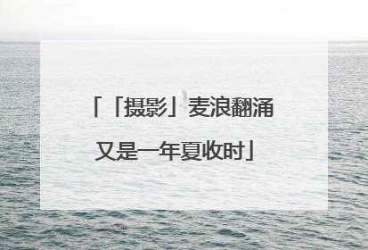 「摄影」麦浪翻涌 又是一年夏收时