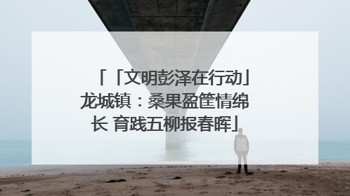 「文明彭泽在行动」龙城镇：桑果盈筐情绵长 育践五柳报春晖