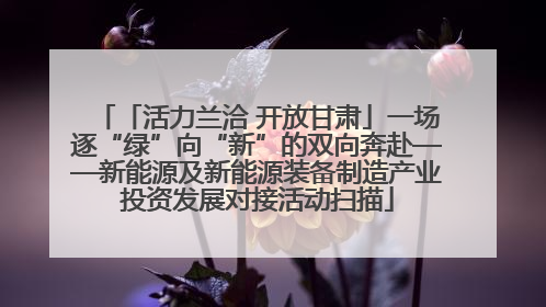 「活力兰洽 开放甘肃」一场逐“绿”向“新”的双向奔赴——新能源及新能源装备制造产业投资发展对接活动扫描