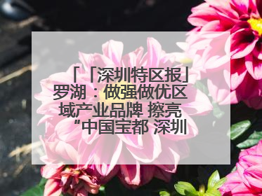 「深圳特区报」罗湖：做强做优区域产业品牌 擦亮“中国宝都 深圳水贝”金字招牌