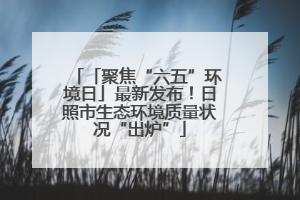 「聚焦“六五”环境日」最新发布！日照市生态环境质量状况“出炉”