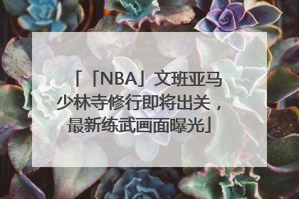 「NBA」文班亚马少林寺修行即将出关，最新练武画面曝光