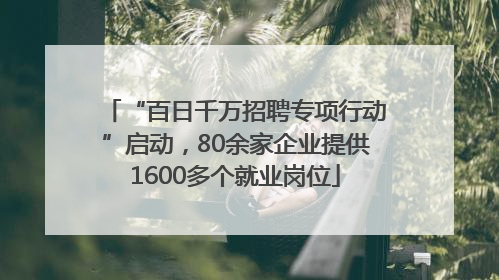 “百日千万招聘专项行动”启动，80余家企业提供1600多个就业岗位