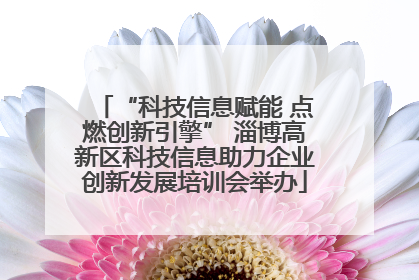 “科技信息赋能 点燃创新引擎” 淄博高新区科技信息助力企业创新发展培训会举办