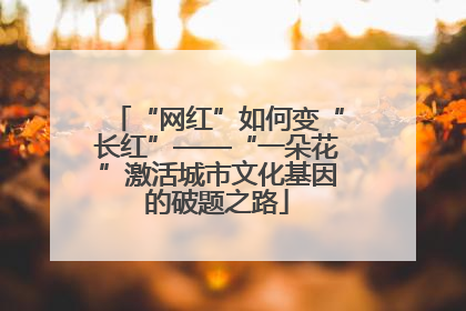 “网红”如何变“长红”——“一朵花”激活城市文化基因的破题之路