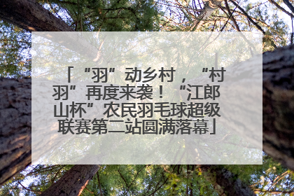 “羽”动乡村，“村羽”再度来袭！“江郎山杯”农民羽毛球超级联赛第二站圆满落幕