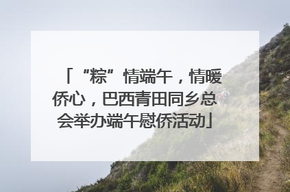 “粽”情端午，情暖侨心，巴西青田同乡总会举办端午慰侨活动