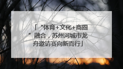 “体育+文化+商圈”融合，苏州河城市龙舟邀请赛向新而行