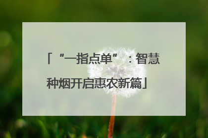 “一指点单”：智慧种烟开启惠农新篇