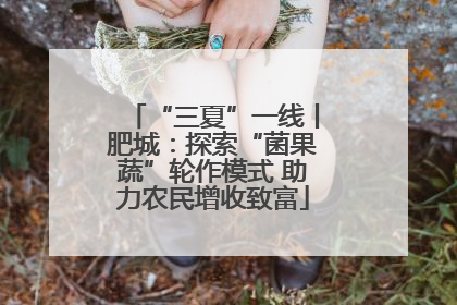 “三夏”一线丨肥城：探索“菌果蔬”轮作模式 助力农民增收致富