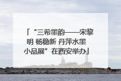 “三希墨韵——宋黎明 杨稳新 丹萍水墨小品展”在西安举办