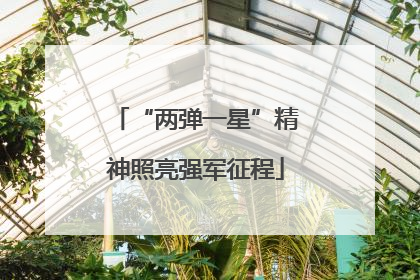 “两弹一星”精神照亮强军征程