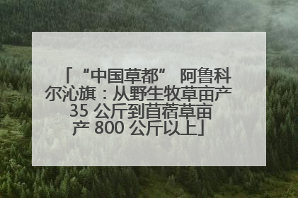 “中国草都” 阿鲁科尔沁旗：从野生牧草亩产 35 公斤到苜蓿草亩产 800 公斤以上