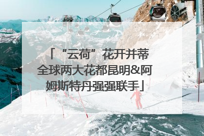 “云荷”花开并蒂 全球两大花都昆明&阿姆斯特丹强强联手