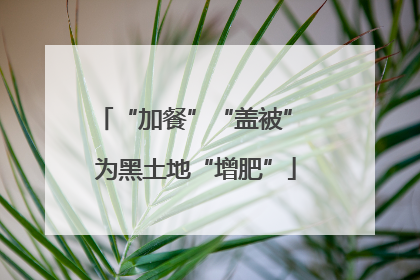 “加餐”“盖被” 为黑土地“增肥”