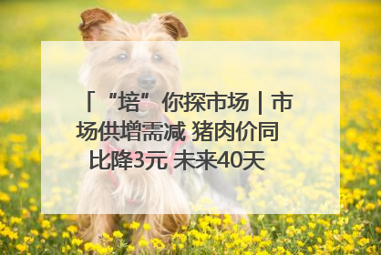 “培”你探市场｜市场供增需减 猪肉价同比降3元 未来40天便宜猪肉敞开吃