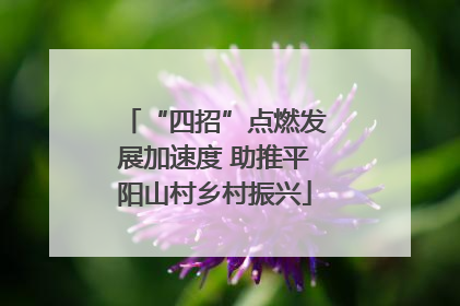 “四招”点燃发展加速度 助推平阳山村乡村振兴