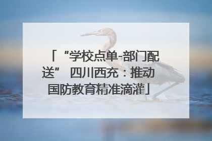 “学校点单-部门配送” 四川西充：推动国防教育精准滴灌