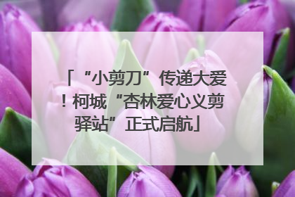 “小剪刀”传递大爱！柯城“杏林爱心义剪驿站”正式启航