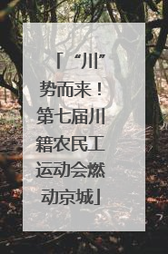 “川”势而来！第七届川籍农民工运动会燃动京城