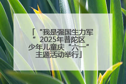 “我是强国生力军”2025年普陀区少年儿童庆“六一”主题活动举行