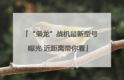 “枭龙”战机最新型号曝光 近距离带你看