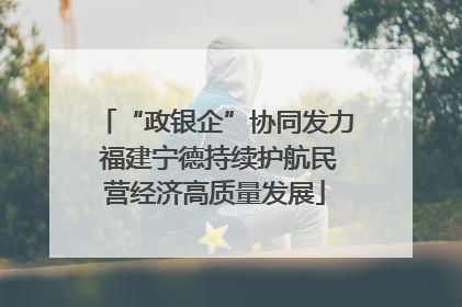“政银企”协同发力 福建宁德持续护航民营经济高质量发展
