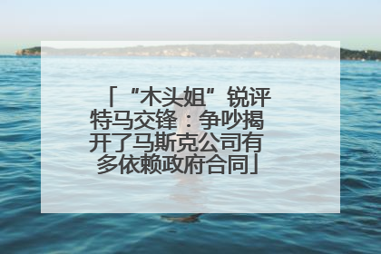 “木头姐”锐评特马交锋：争吵揭开了马斯克公司有多依赖政府合同