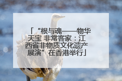 “根与魂——物华天宝 非常客家：江西省非物质文化遗产展演”在香港举行