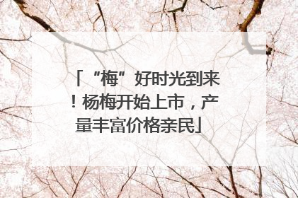 “梅”好时光到来！杨梅开始上市，产量丰富价格亲民
