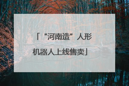 “河南造”人形机器人上线售卖