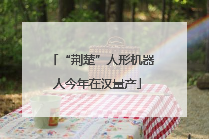 “荆楚”人形机器人今年在汉量产