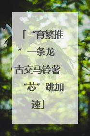 “育繁推”一条龙 古交马铃薯“芯”跳加速