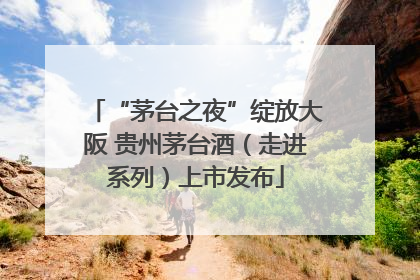 “茅台之夜”绽放大阪 贵州茅台酒（走进系列）上市发布