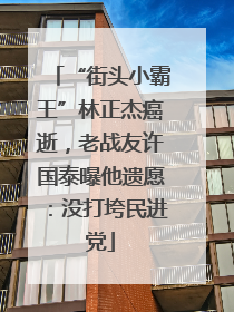 “街头小霸王”林正杰癌逝，老战友许国泰曝他遗愿：没打垮民进党