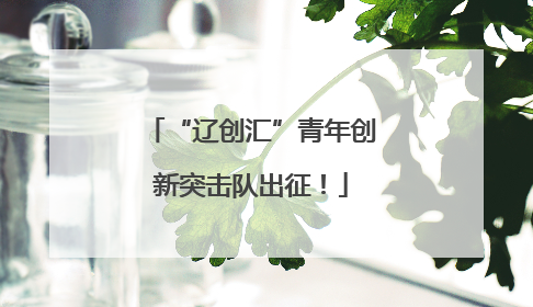 “辽创汇”青年创新突击队出征！