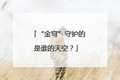 “金穹”守护的是谁的天空？