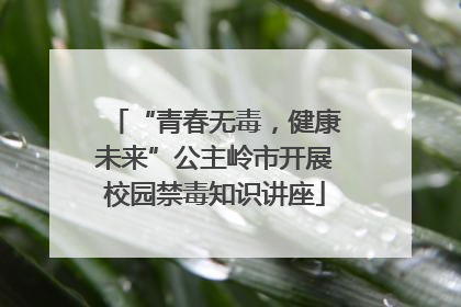 “青春无毒，健康未来”公主岭市开展校园禁毒知识讲座