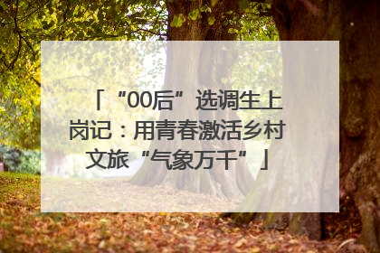 “00后”选调生上岗记：用青春激活乡村文旅“气象万千”