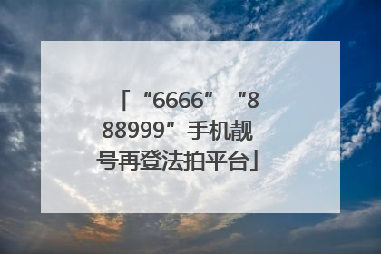 “6666”“888999”手机靓号再登法拍平台