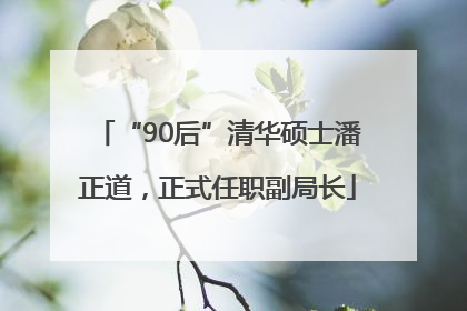 “90后”清华硕士潘正道，正式任职副局长