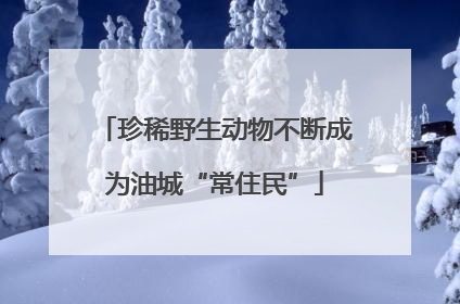 珍稀野生动物不断成为油城“常住民”
