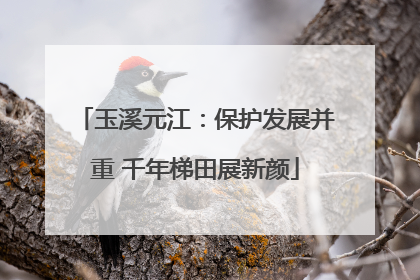 玉溪元江：保护发展并重 千年梯田展新颜