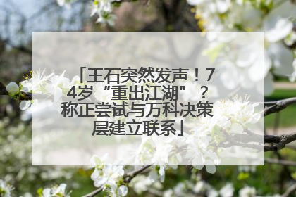 王石突然发声！74岁“重出江湖”？称正尝试与万科决策层建立联系