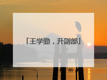 王学勤，升副部