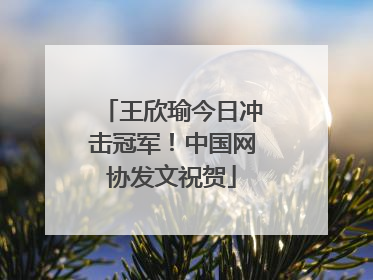 王欣瑜今日冲击冠军！中国网协发文祝贺