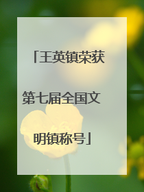王英镇荣获第七届全国文明镇称号